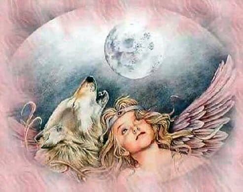 The Angel & The Wolf