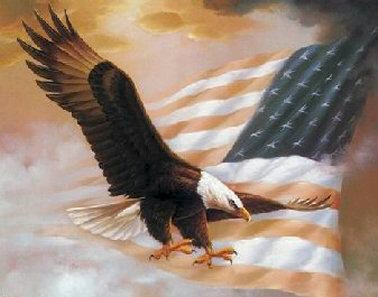 Bald Eagle & Banner