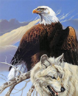 Eagle And Wolf