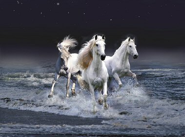Mystic Horses