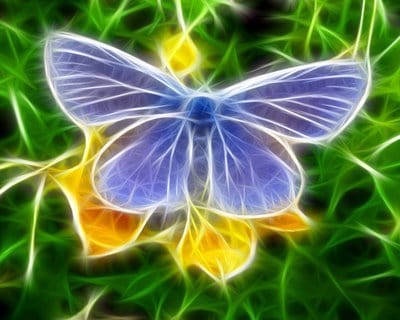 Virtual Butterfly